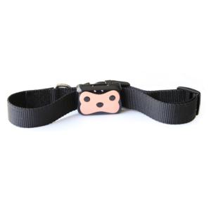 Collier GPS Chat et Chien -  IP67 | Traceur Étanche 4G