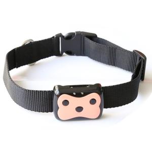 Collier GPS Chat et Chien -  IP67 | Traceur Étanche 4G